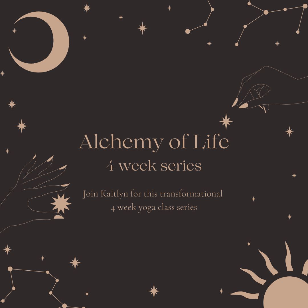 Alchemy of Life Drop-in Pass